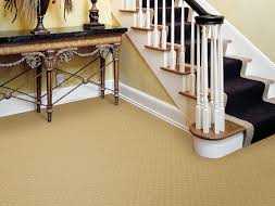 Carpet Cleaning