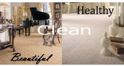 DIY vs Professional Carpet Cleaning