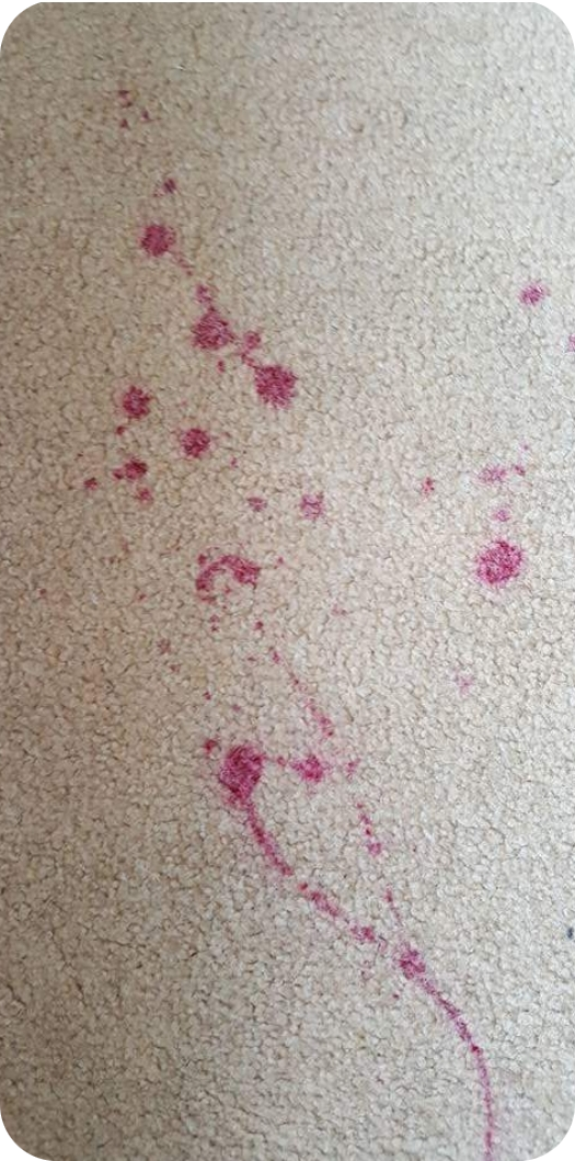 Before image of nail varnish stain on carpet